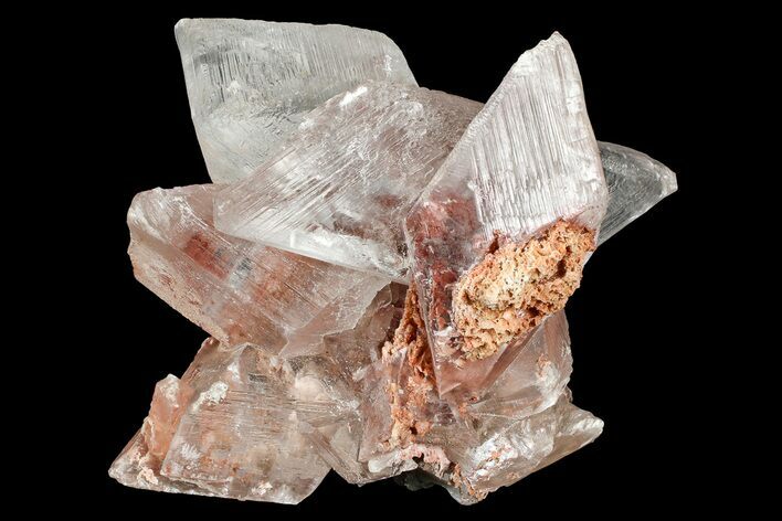 Glassy Selenite Crystal Cluster - Naica Mine, Mexico #372182
